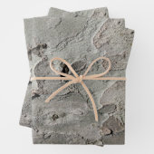 樹皮の模様を包む紙シート ラッピングペーパーシート (インサイチュ)