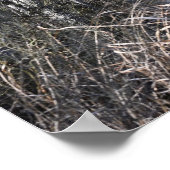 樹皮の白木のポスター ポスター (角)