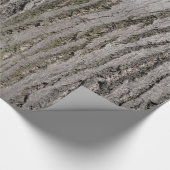 樹皮の質パターン自然の植物 ラッピングペーパー (角)