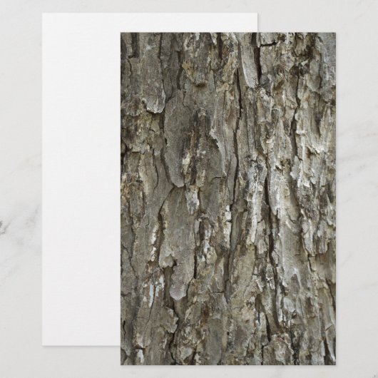 樹皮の質 便箋 (正面/裏面)