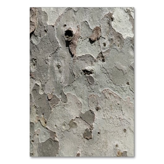 樹皮パターンテーブル番号 テーブルナンバー (正面)