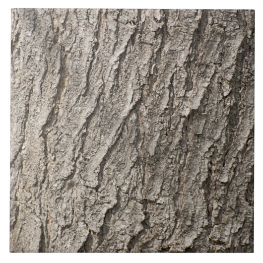 樹皮パターン タイル (正面)