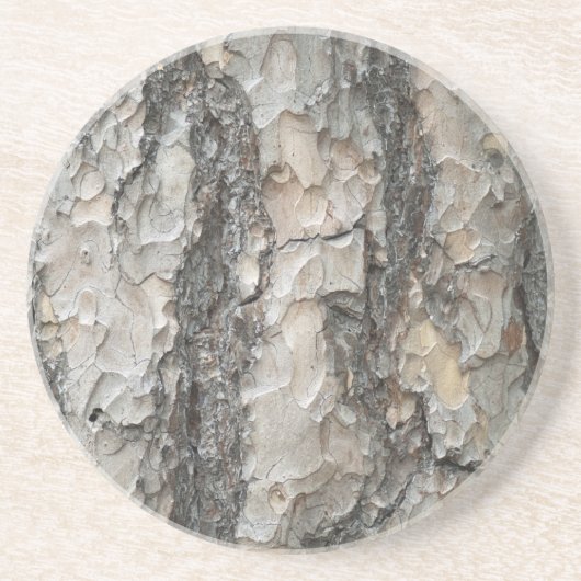 樹皮マツ材 コースター (正面)