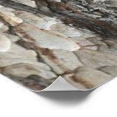 樹皮マツ材 ポスター (角)