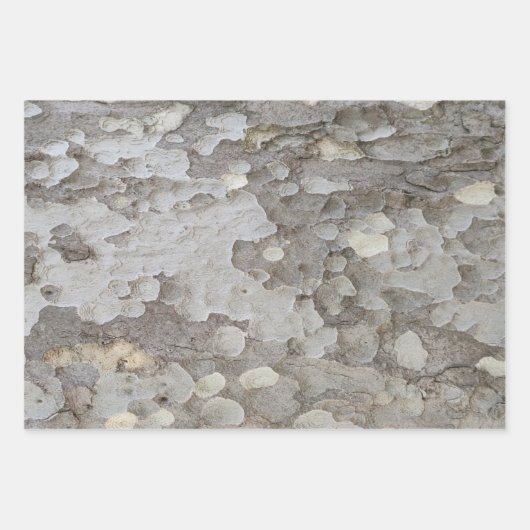 樹皮模様包み紙シート ラッピングペーパーシート (正面)