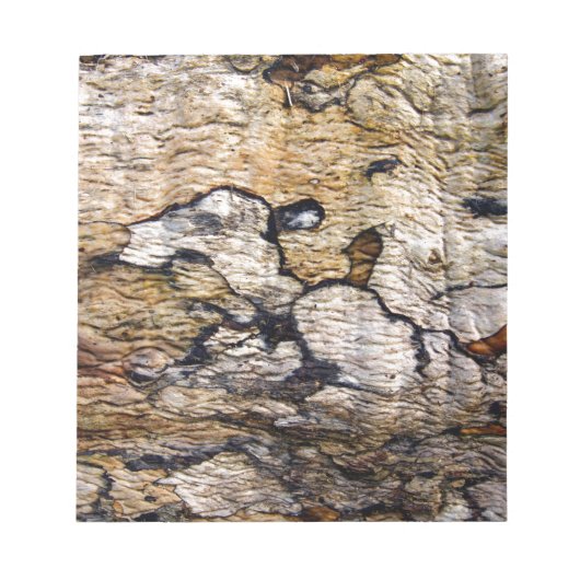 樹皮模様 ノートパッド (正面)