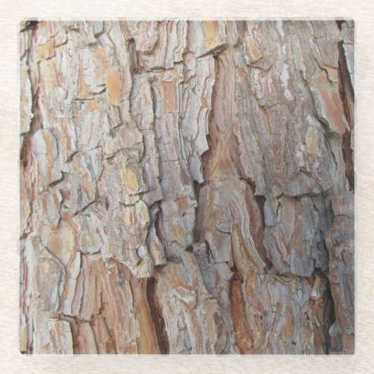 樹皮秋秋の模様 ガラスコースター (正面)