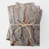 樹皮秋秋の模様 ラッピングペーパーシート (インサイチュ)