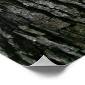 樹皮組織 ポスター (角)