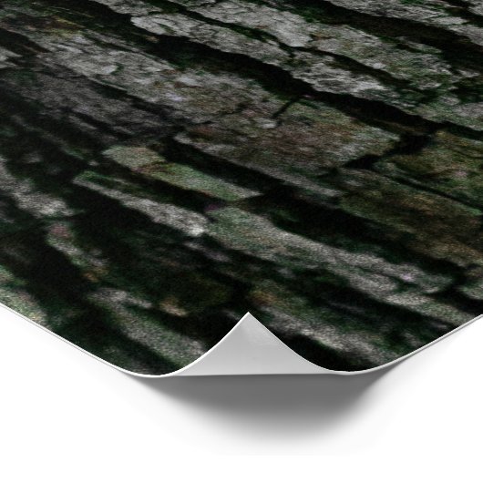 樹皮組織 ポスター (角)