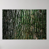 樹皮組織 ポスター (正面)