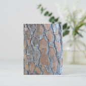 樹皮組織 ポストカード (スタンド正面)