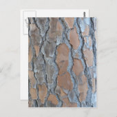 樹皮組織 ポストカード (正面/裏面)