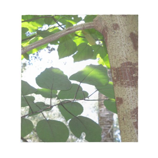 樹皮葉付き緑と木の幹カッコいい部 ノートパッド (正面)