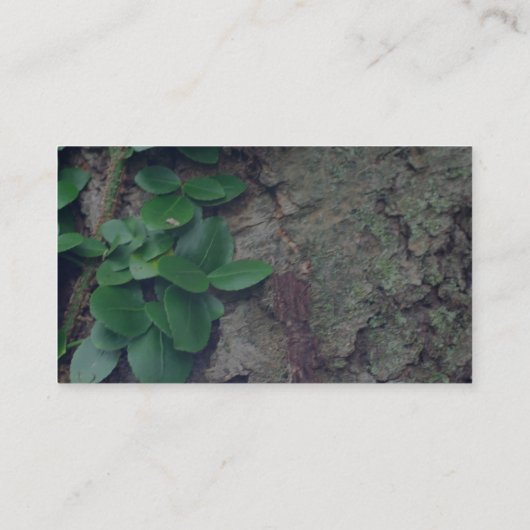 樹皮葉自然撮影名刺 名刺 (裏面)