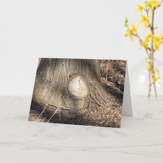 樹皮質大型ノットホール写真 カード (黄色い花)