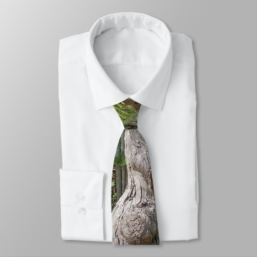 樹皮質感デザイン ネクタイ (タイ)