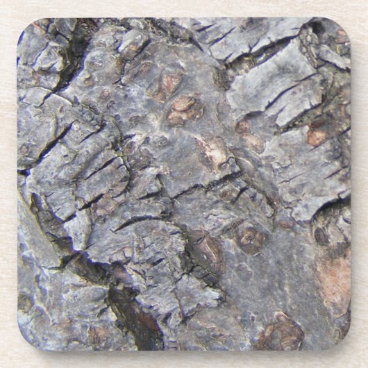 樹皮 コースター (正面)
