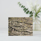 樹皮 ポストカード (スタンド正面)