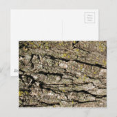 樹皮 ポストカード (正面/裏面)