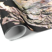 樹皮 ラッピングペーパー (ロールコーナー)