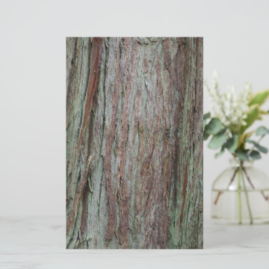 樹皮 便箋 (スタンド正面)