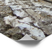 樹皮IV抽象芸術自然 ポスター (角)