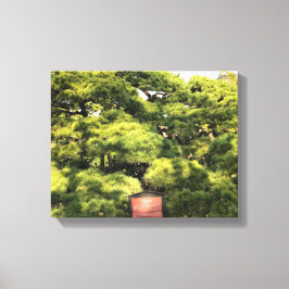 樹齢三百年の松 キャンバスプリント