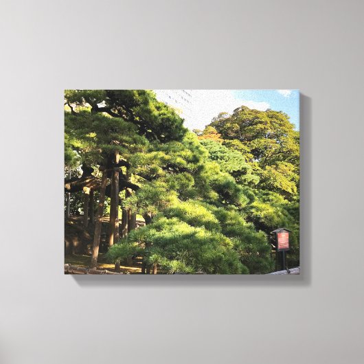 樹齢三百年の松 キャンバスプリント (正面)