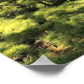 樹齢三百年の松 ポスター (角)