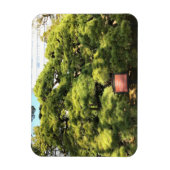 樹齢三百年の松 マグネット (縦)