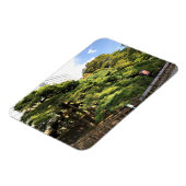 樹齢三百年の松 マグネット (左側)