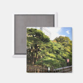 樹齢三百年の松 マグネット (正面/裏面)