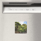 樹齢三百年の松 マグネット (インサイチュ (食洗機))