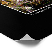 樺の木とカラーポスター ポスター (角)