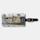 樺の木のオオカミの写真が付いている荷物のラベル ラゲッジタグ (正面横)