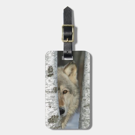 樺の木のオオカミの写真が付いている荷物のラベル ラゲッジタグ (正面縦)