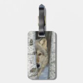 樺の木のオオカミの写真が付いている荷物のラベル ラゲッジタグ (裏面縦)