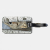 樺の木のオオカミの写真が付いている荷物のラベル ラゲッジタグ (裏面横)