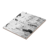 樺の木のトランク タイル (側面)