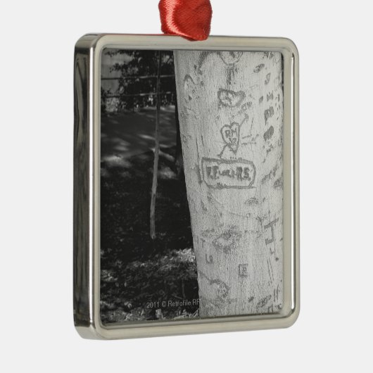 樺の木のトランクB&Wで切り分けること メタルオーナメント (右)