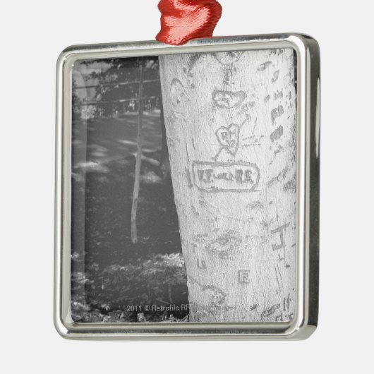 樺の木のトランクB&Wで切り分けること メタルオーナメント (左)