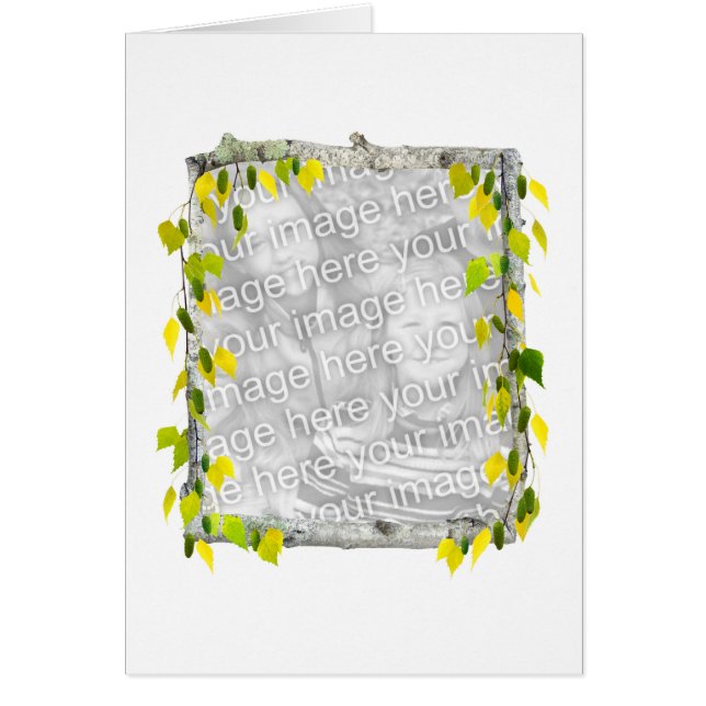 樺の木の写真カード (正面)