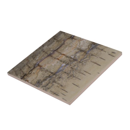 樺の木の吠え声 タイル (側面)