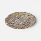 樺の木の木々（ローリヒ） ペーパープレート (アングル)