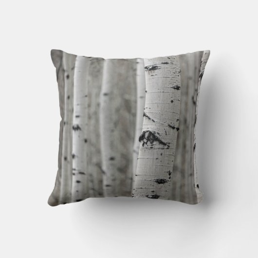 樺の木の木霜の降りたの枝の雪片 クッション (裏面)