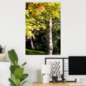 樺の木の木 ポスター (ホームオフィス)