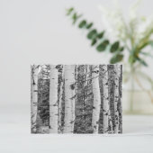 樺の木の木 ポストカード (スタンド正面)