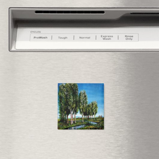 樺の木の木 マグネット (インサイチュ (食洗機))