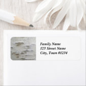 樺の木の木 ラベル (インサイチュ)